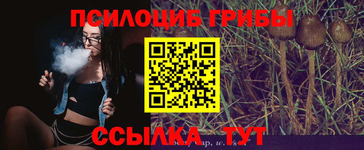 Галлюциногенные грибы ЛСД Семёнов